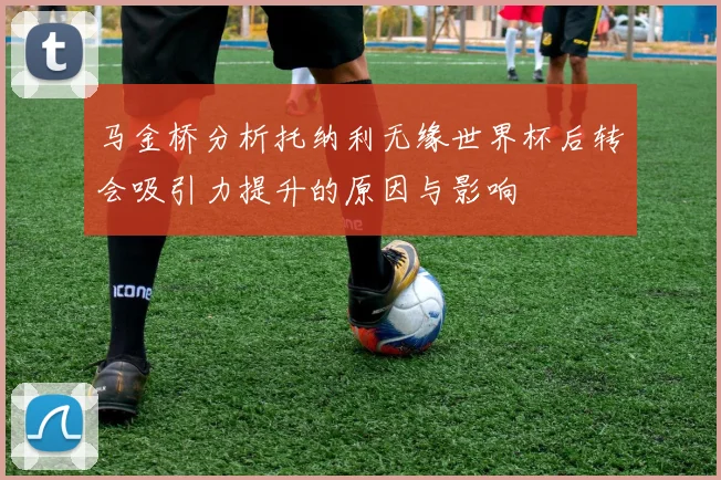 马金桥分析托纳利无缘世界杯后转会吸引力提升的原因与影响