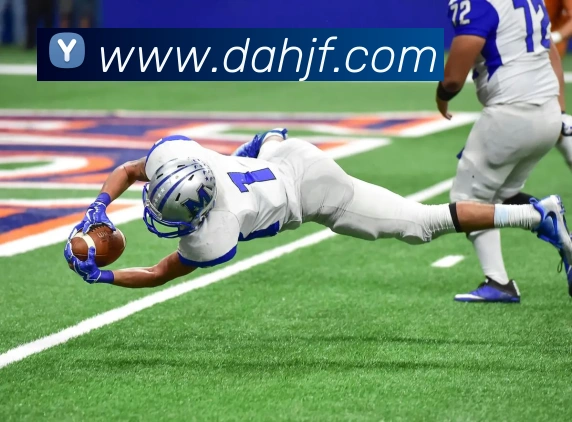 App Interface Preview