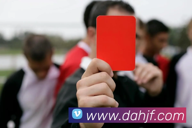 九游j9官方主页APP 封面图